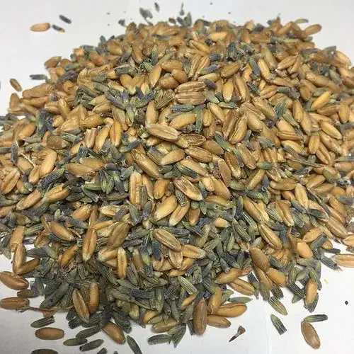 Ersatz-Inlett für Bio Lavendelkissen – Dinkel, Lavendel oder Kirschkern