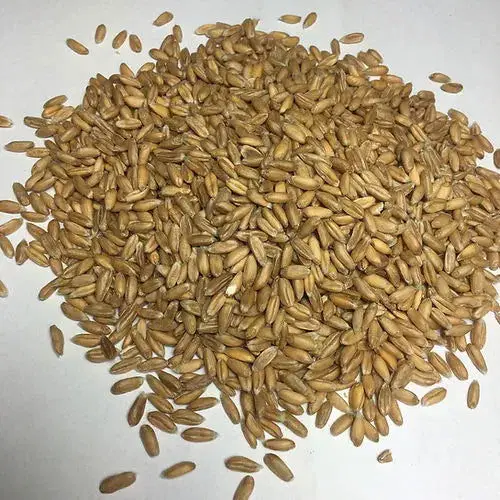 Ersatz-Inlett für Bio Wärmekissen – Dinkel oder Kirschkern