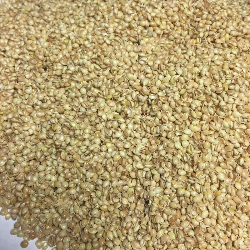 Ersatz-Inlett für Bio Kuschelkissen – Bio Hirsespelz